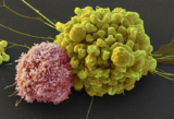 Prostate-Specific Antigen (PSA) Biomarker Test Guide
